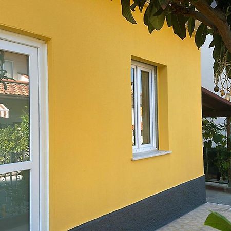 Orte Holiday - Inaugurazione Agosto 2024 Riccione Exterior photo